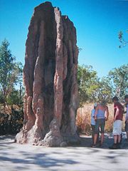 180px-Termite_mound_NT